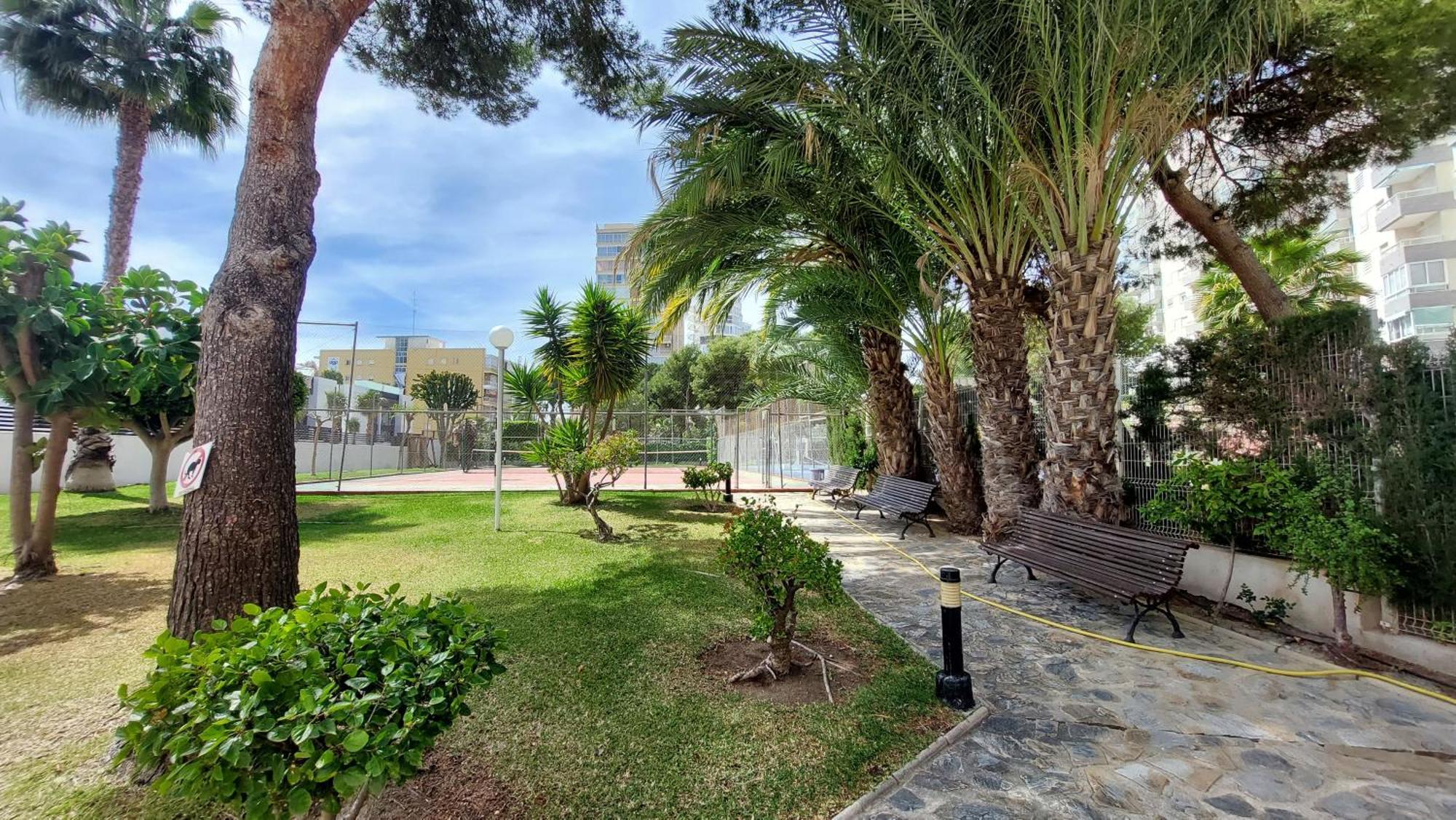 B L U E: Muchavista Sea View Apartment El Campello Dış mekan fotoğraf